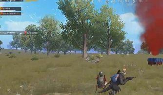 和平精英最新爆料顶瓜瓜,顶瓜瓜带你揭秘游戏最新动态  第1张