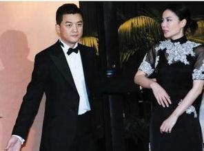 李亚鹏王菲最新爆料,揭秘他们的爱情故事与生活点滴  第2张