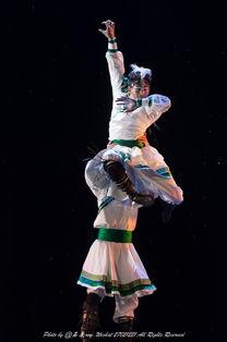 马跳舞视频在线观看,在线欣赏马跳舞的精彩瞬间  第3张